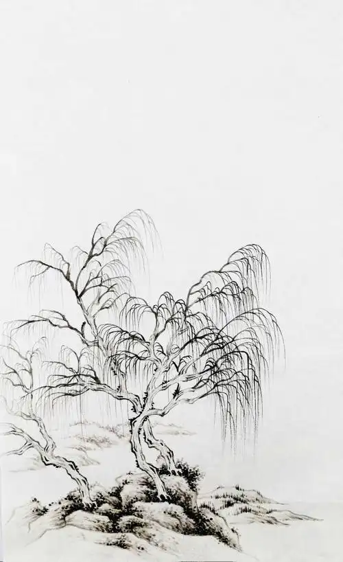 柳树简笔画柳树怎么画漂亮又简单