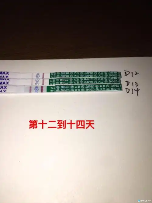 [试管婴儿]今天移植囊胚十四天,试纸加深明