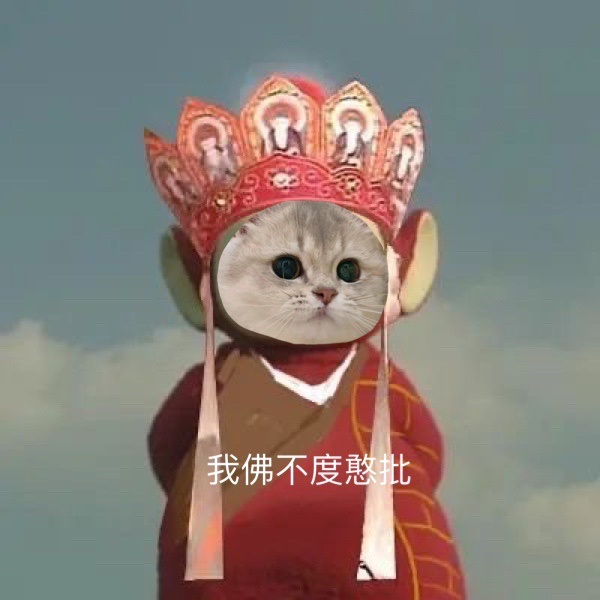猫猫头西游记 我佛不渡憨批 - 小猫咪版天线宝宝西游记表情包