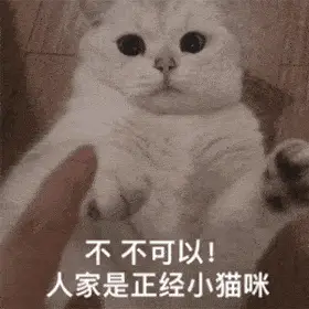更新超好玩的猫猫狗狗表情包～小可爱们还没有关注公众号的可以关注下