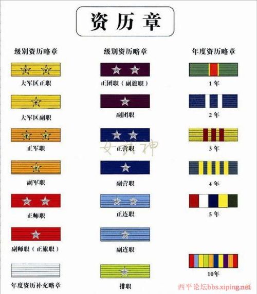 解放军新式军装胸章图片及详解