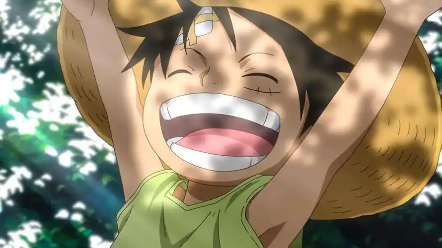 写给海贼王路飞的第 1 封信