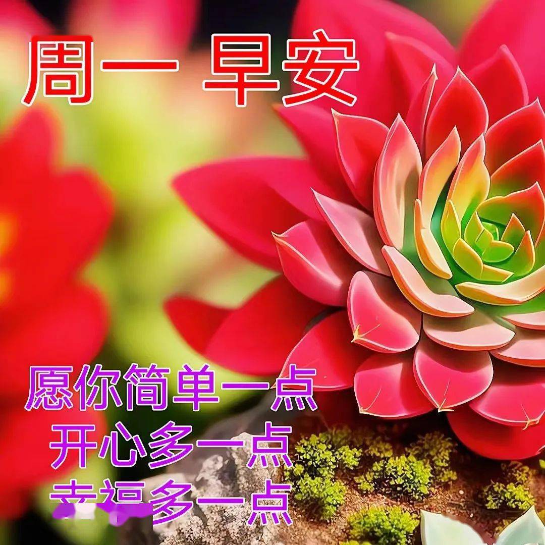 早上好图片漂亮祝福,时时牵挂,情谊最真_问候_开心_平安
