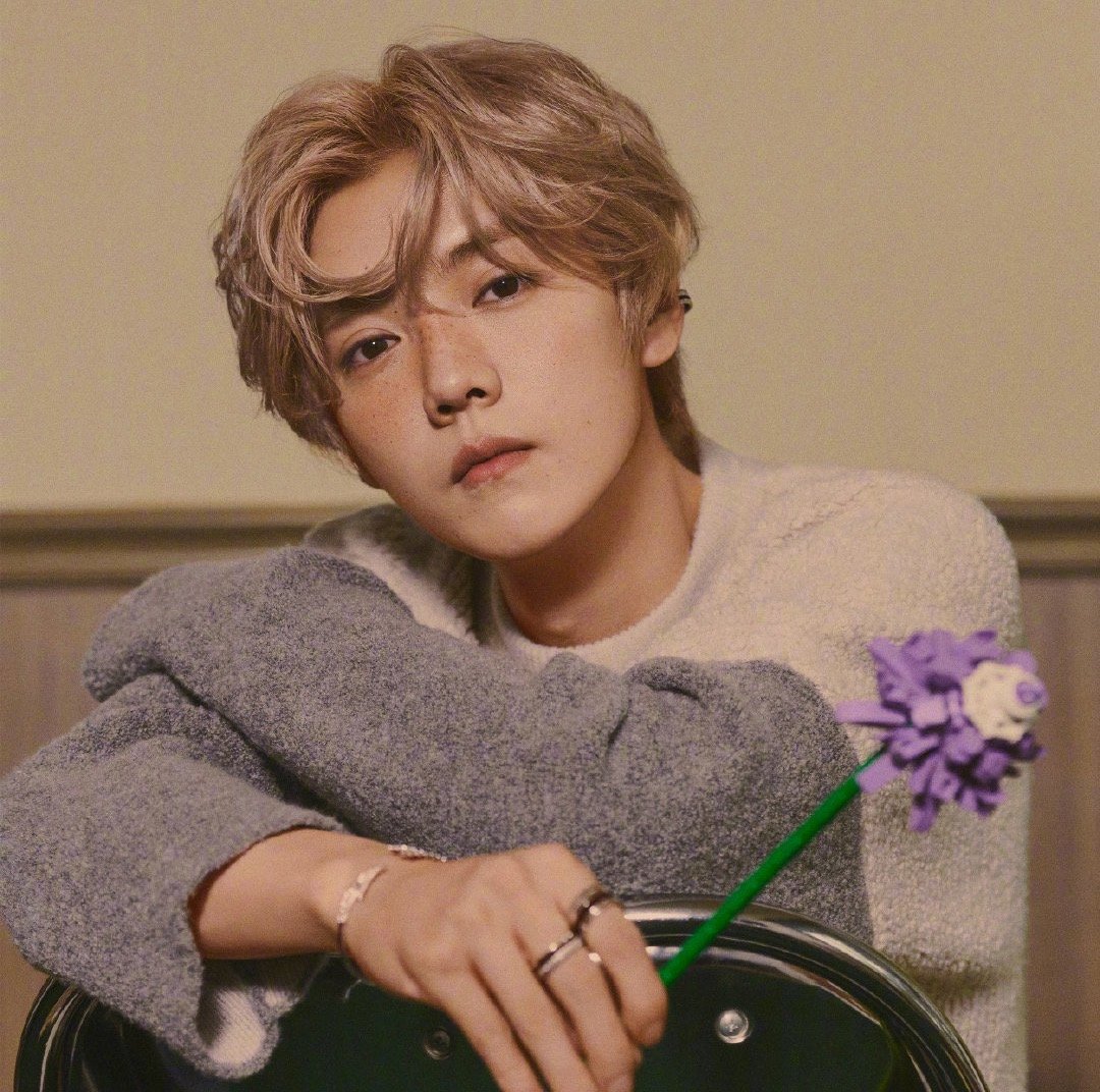 鹿晗微博写真图片集