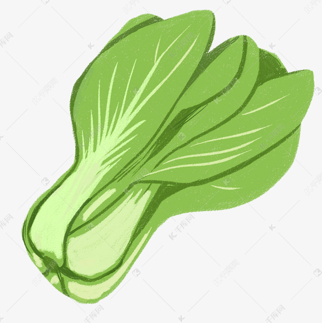 手绘青菜免扣psd文件一颗