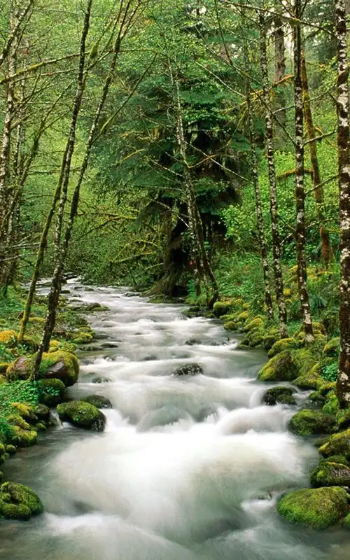 山间溪水河流唯美高清自然风光手机壁纸