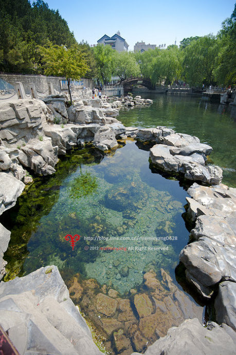 从高处俯看,泉水汇集处就像一块块透亮的碧玉,镶嵌在大地之上. 白石泉