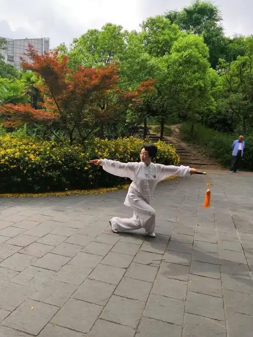 写美篇  杨式太极剑32式,42式的剑术灵活多变,造型优美,似操如舞,是