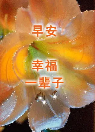 早上好问候祝福动态图片带字 漂亮清晨早安问候动画表情鲜花图片_亲爱