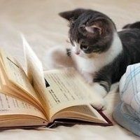 文艺范书的微信头像【点击鼠标右键下载】