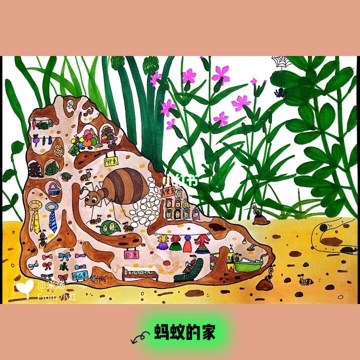 蚂蚁的家视频教程