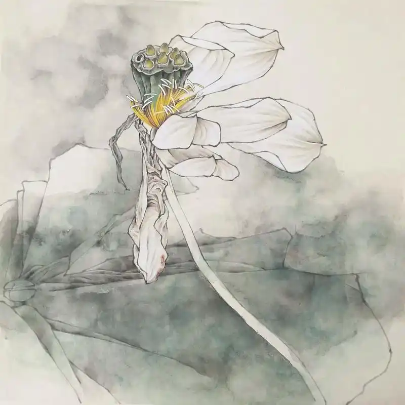 禅意荷花.#国画 #国画也抖音 #原创 #工笔花鸟 #工笔画 - 抖音