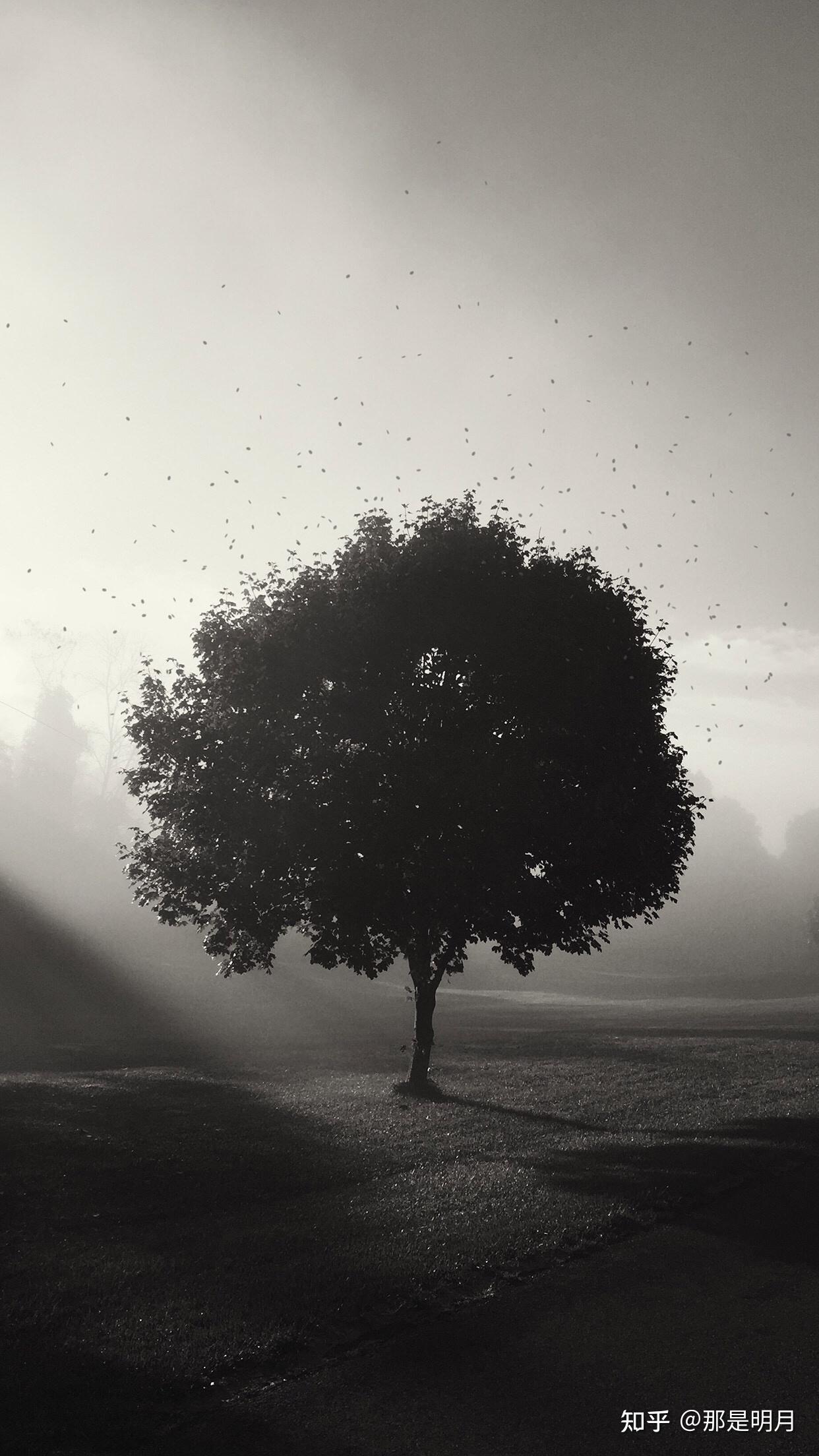 有没有与手机黑色主题融为一体的微信聊天背景图以及手机壁纸?