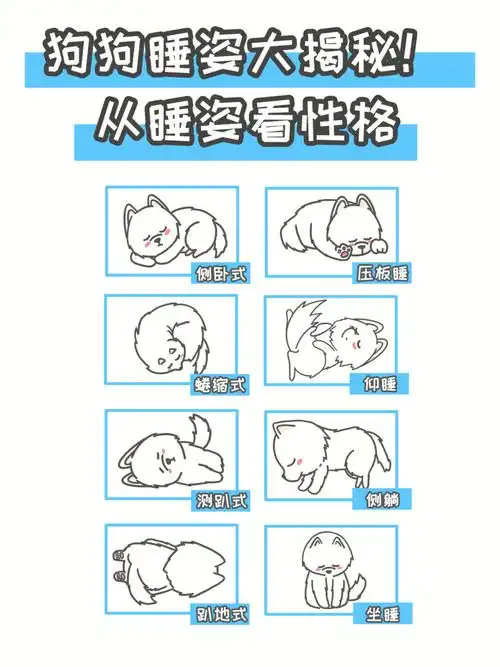 干货从866种睡姿判断狗狗是否有安全感75