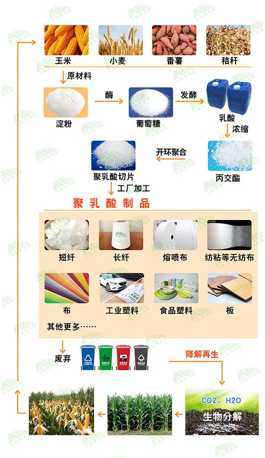 将乳酸制备成环状二聚体丙交酯,再将丙交酯开环聚合生产聚乳酸,不以