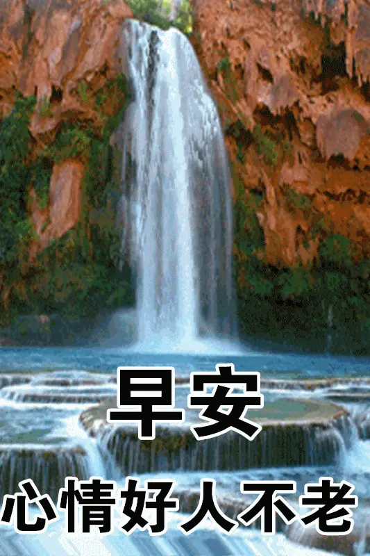 2021早上好动态表情图片大全早晨好动图美图大全