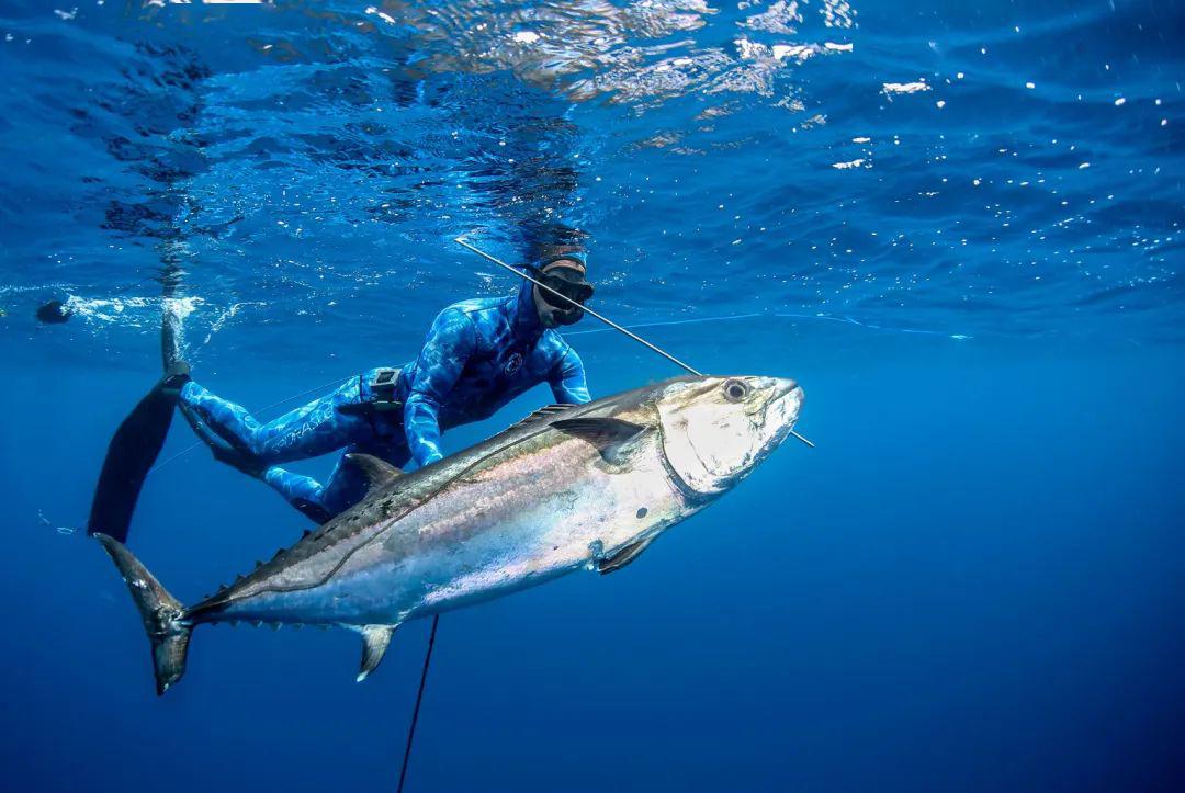 全美自由潜水猎鱼冠军和自由潜水教练,他把这些对自由潜水和海洋的