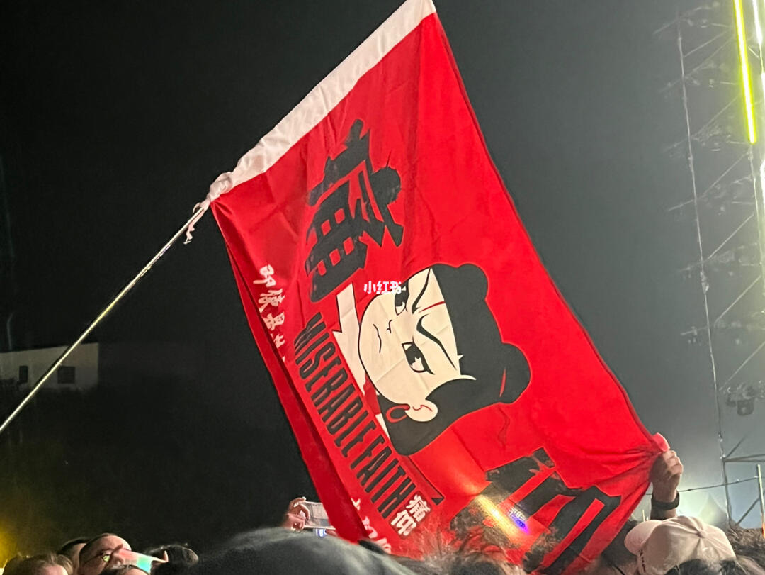 温柔且浪漫相信爱和光,不畏世俗充满希望又自由#萨菲娜  #痛仰  #音乐