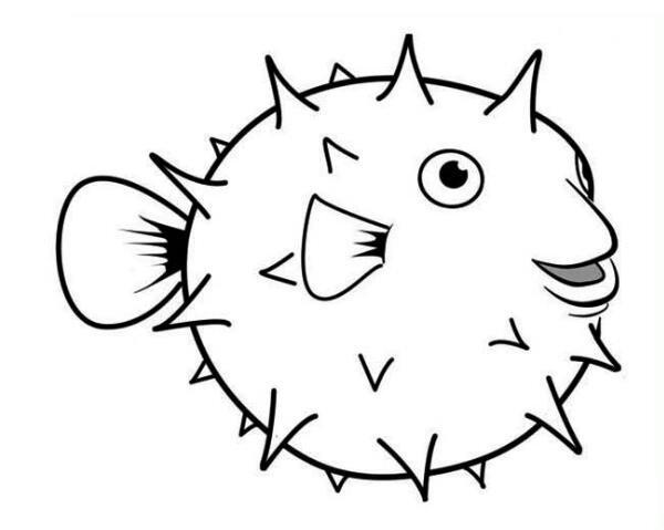 鱼类河豚幼儿简笔画的画河豚的简笔画可爱卡通河豚简笔画教学步骤教程