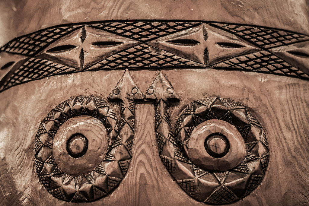 蛇的仿生学应用