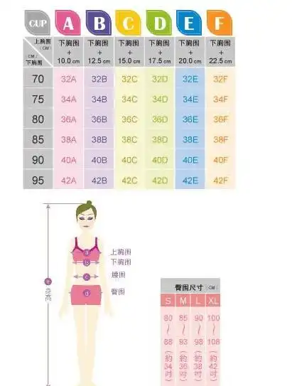 文胸尺码表上34/75是什么意思?34b胸围是多大?