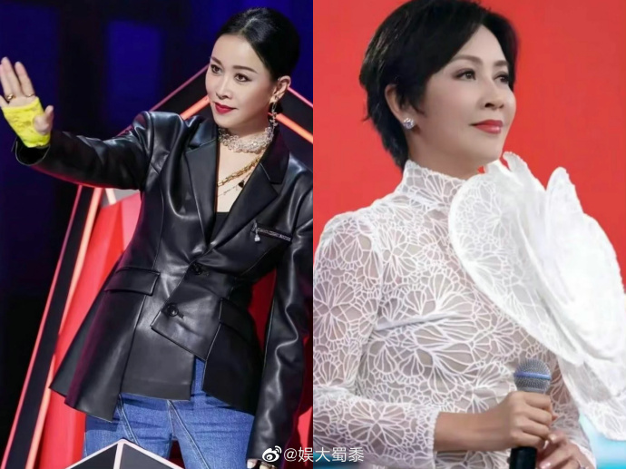 刘嘉玲撞脸那英