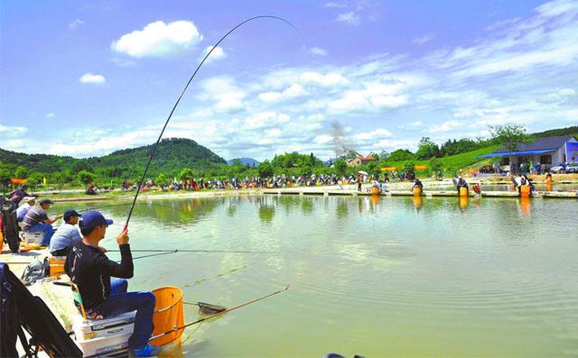 鱼塘钓鱼生意逆袭翻倍怎么做到的