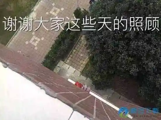 世界杯上天台表情包下载-天台见表情包 13张高清版-新云软件园