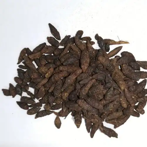 醋香附偏入肝肾而利腰足,多用于女性妇科疾病的治疗.