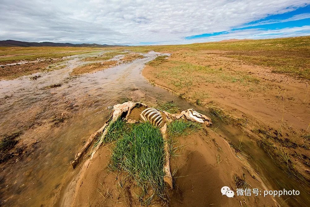 顾莹:可可西里如果不难拍,我还不愿意去呢