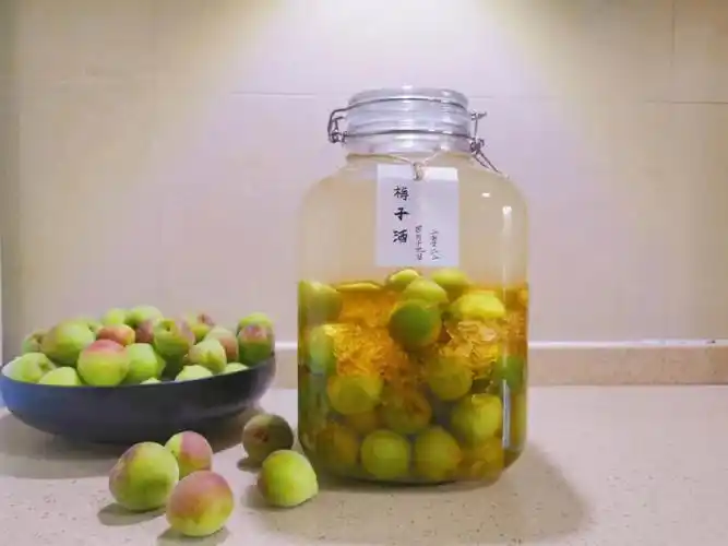 泡青梅酒的突然多了今年