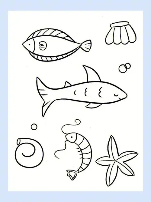 简笔画海底世界