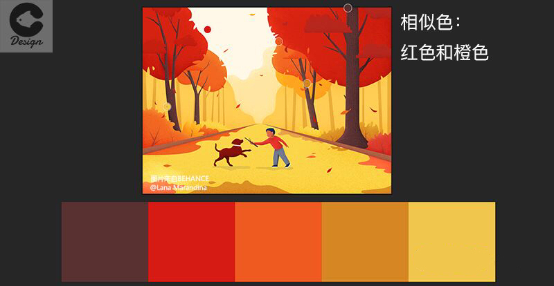 (3)互补色配色方案 互补色彼此相对,例如"蓝色和橙色"或者"红色和绿色