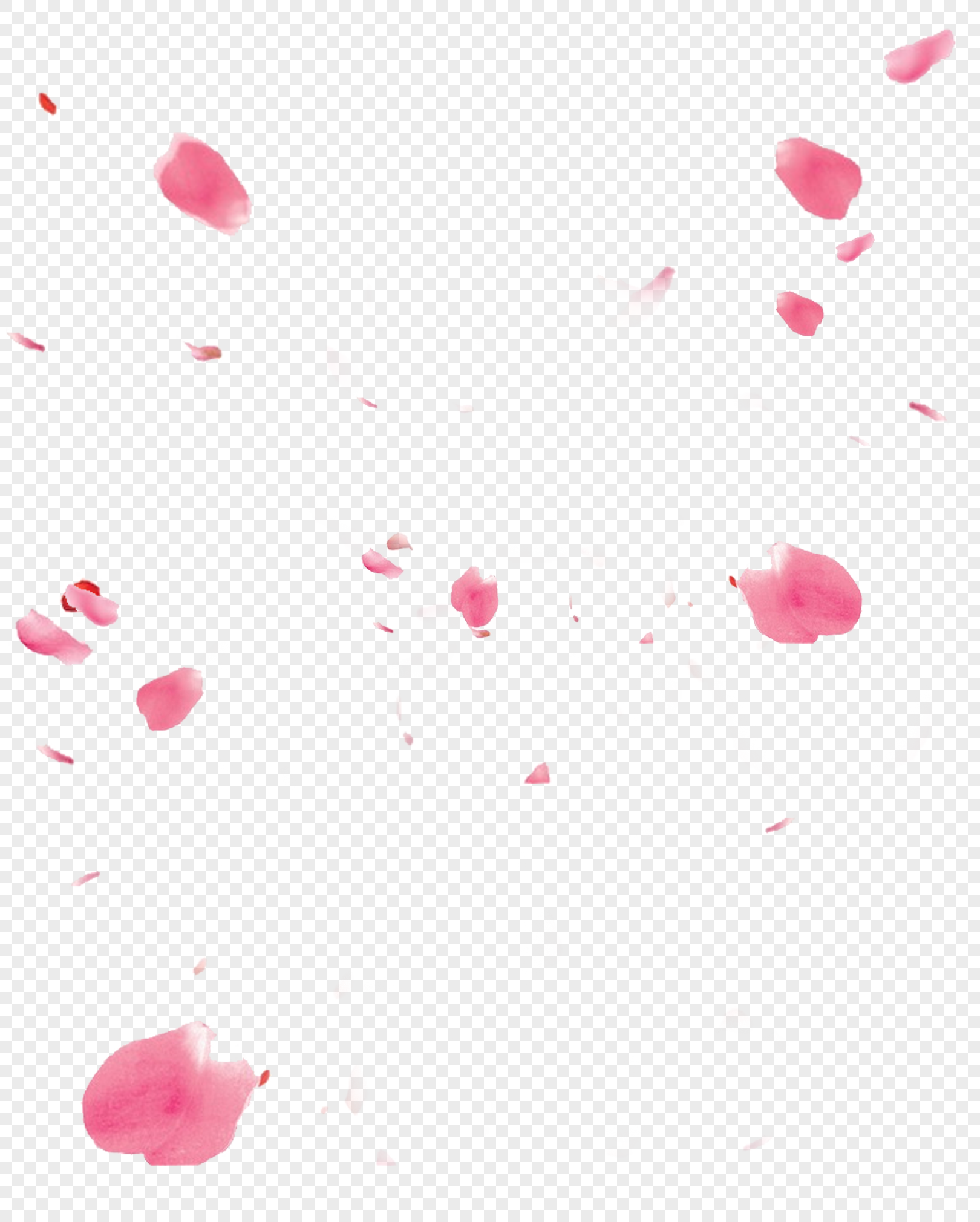 花瓣元素素材png格式_设计素材免费下载_vrf高清图片400798739_摄图网