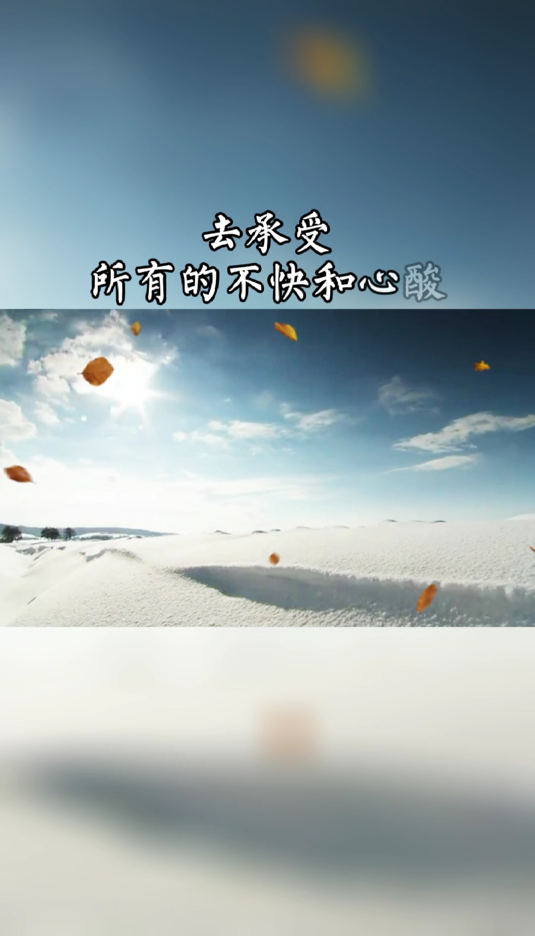 有时候你必须要学会一个人去承受所有的不快和心酸因为有些事根本没有