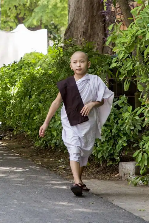 穿白色袈裟的是4—13岁的僧人,掌管钱财,大了就不能管了,有私心了.