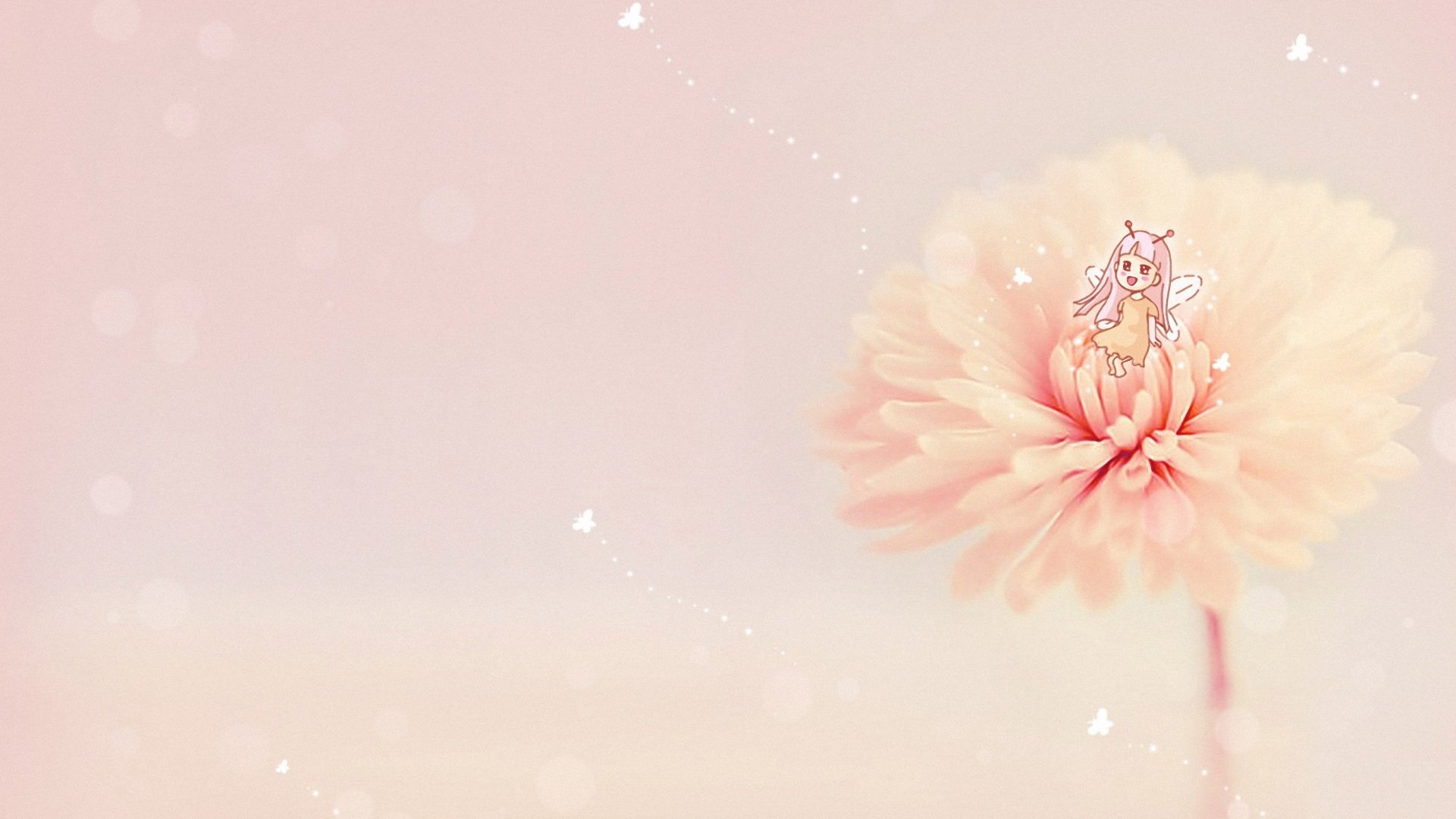 小清新简约花卉高清桌面壁纸