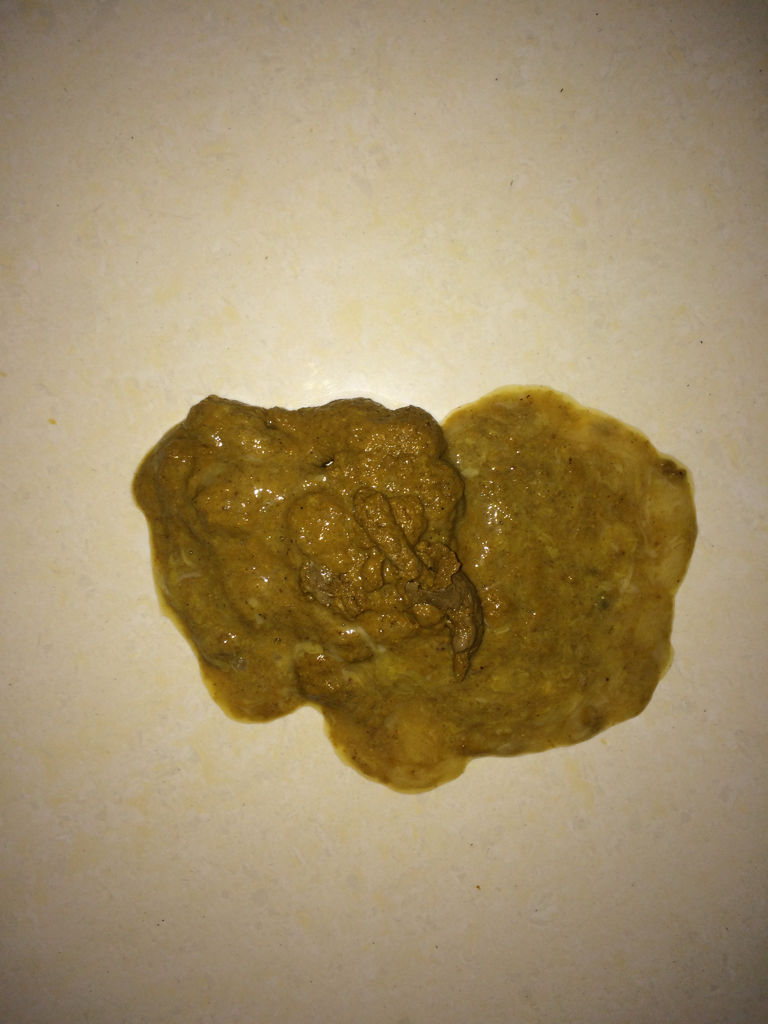 小狗这样的大便算拉稀还是只是软二个月大阿拉斯加 精神还挺好的,明天