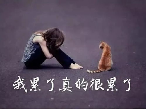 一个人身心疲惫的说说