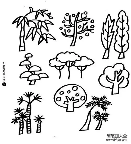 树木树木线描组图组图_大树简笔画-简笔画大全