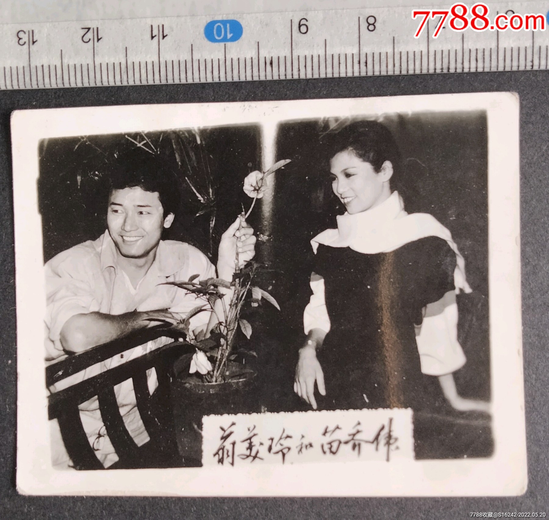 翁美玲和苗乔伟