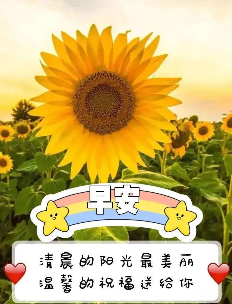 2021秋天祝福大家早上好祝福语录表情图片 秋天特漂亮早上好问候语