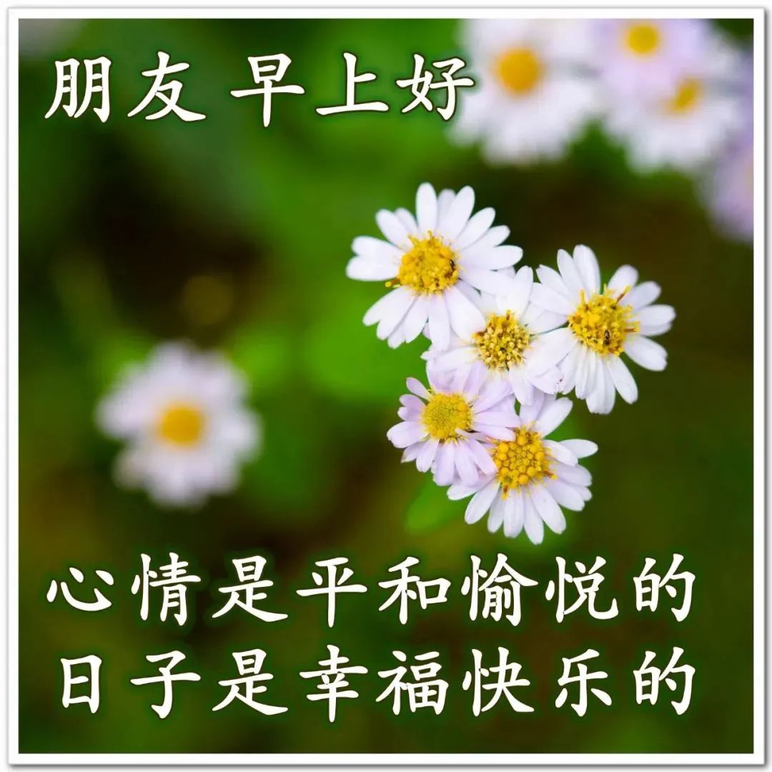 特别漂亮早上好问候语表情图 最新版微信早上好图片 1,不管多远的路,