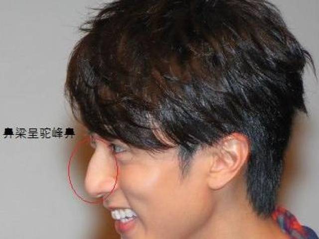 鼻子与个性自我息息相关,他的鼻子呈希腊鼻的特点,也就是属于驼峰鼻
