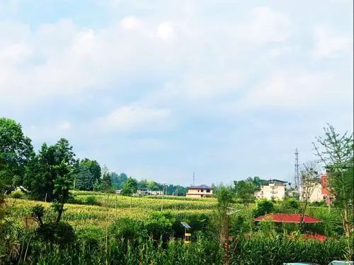 天空上依然是白云朵朵