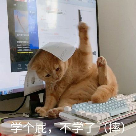 学个屁 不学了 摔 猫咪表情包_猫咪_学个_不学表情