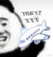 飞机起飞了飞飞飞熊猫头拿小飞机表情包