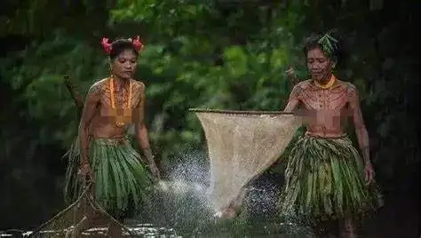 哪怕原始人,也要弄树叶或者兽皮遮住羞处,但猴子就没有这个意识,它们