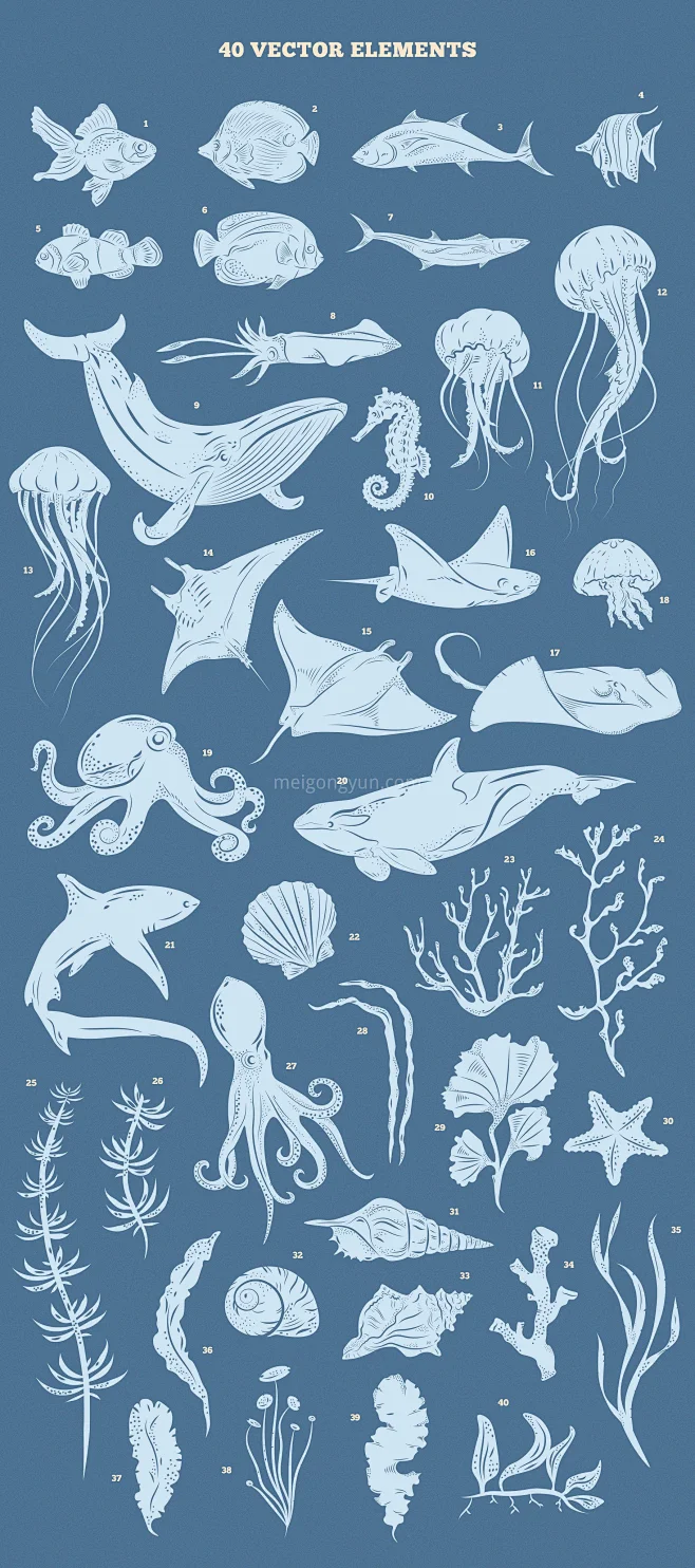 海洋主题矢量海洋动物插画设计素材  un.