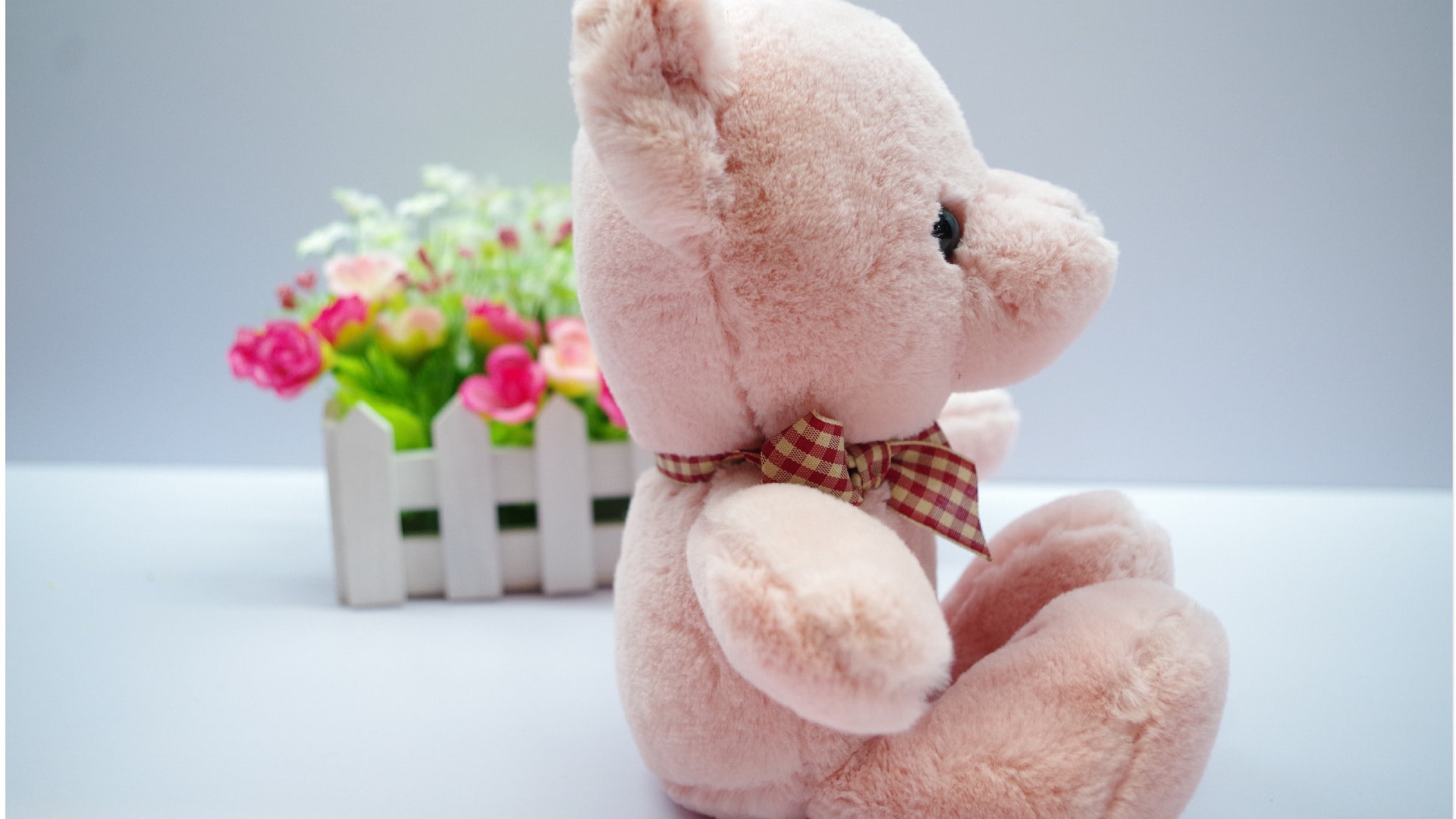 可爱的泰迪熊公仔,高清图片,电脑桌面-壁纸族